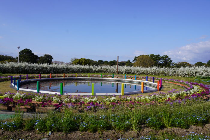 服部緑地公園の花に囲まれた円形の水辺と日時計